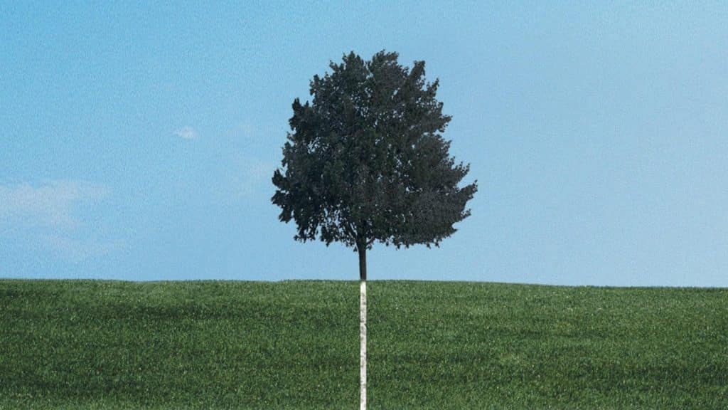 دانلود سریال  Six Feet Under