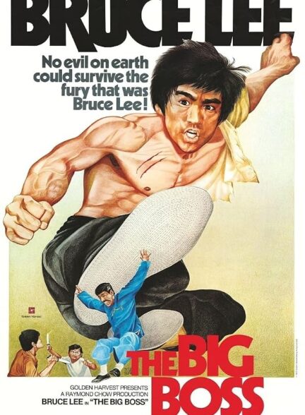 دانلود فیلم The Big Boss 1971